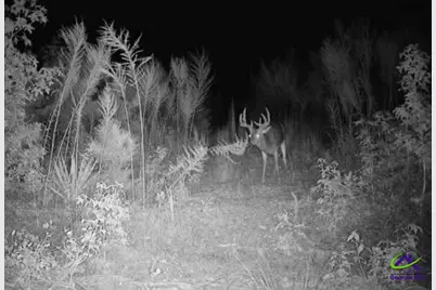 733 Chester-Cochran Highway, Chester, GA 31012 - Photo 24