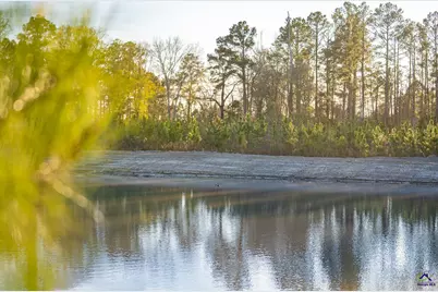 733 Chester-Cochran Highway, Chester, GA 31012 - Photo 8