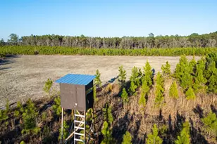 733 Chester - Cochran Hwy, Chester, GA 31012 - Photo 1