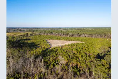 733 Chester-Cochran Highway, Chester, GA 31012 - Photo 20