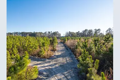 733 Chester-Cochran Highway, Chester, GA 31012 - Photo 40