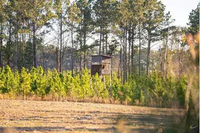 733 Chester-Cochran Highway, Chester, GA 31012 - Photo 22