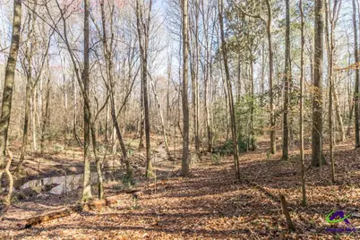 1751 S Ga 247 Highway, Kathleen, GA 31047 - Photo 50