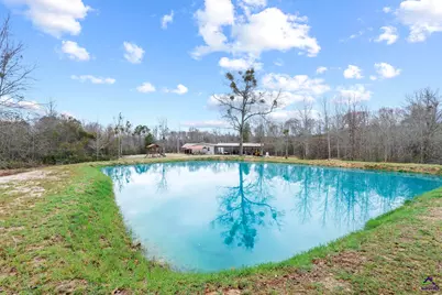 29 Purvis Lane, Mcrae, GA 31055 - Photo 44