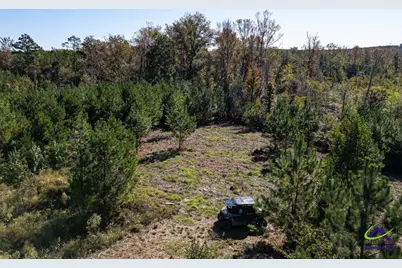 1190 Wriley Road, Irwinton, GA 31042 - Photo 14