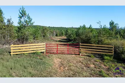 1190 Wriley Road, Irwinton, GA 31042 - Photo 4