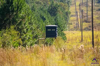 1190 Wriley Road, Irwinton, GA 31042 - Photo 16