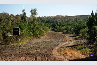 1190 Wriley Road, Irwinton, GA 31042 - Photo 8