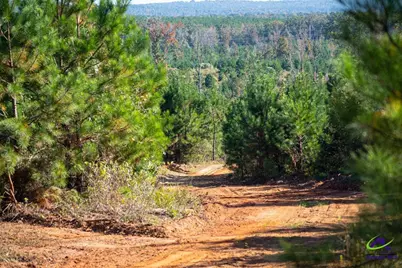 1190 Wriley Road, Irwinton, GA 31042 - Photo 6