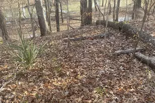 39 Charleston Cir, Hawkinsville, GA 31036 - Photo 1