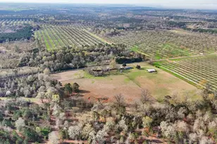 3360 River Rd, Fort Valley, GA 31030 - Photo 52