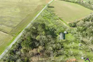 575 Grovania Rd, Hawkinsville, GA 31036 - Photo 34