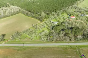 575 Grovania Rd, Hawkinsville, GA 31036 - Photo 38