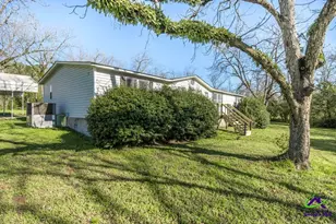 575 Grovania Rd, Hawkinsville, GA 31036 - Photo 4