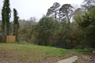 1036 Clay Ave, Macon, GA 31211 - Photo 16