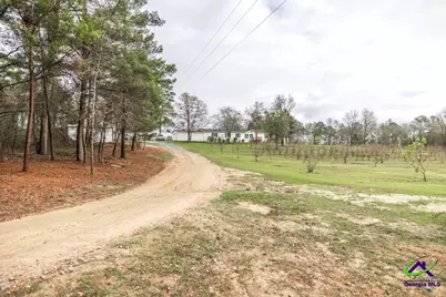 319 Pope Road, Roberta, GA 31078 - Photo 2