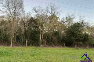 0000 South Street Aka Market St, Marshallville, GA 31057 - Photo 1