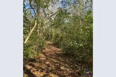 0000 South Street Aka Market Street, Marshallville, GA 31057 - Photo 2