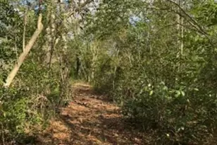 0000 South Street Aka Market St, Marshallville, GA 31057 - Photo 2