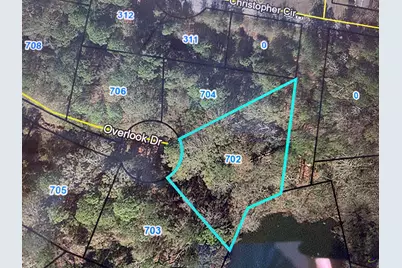 702 Overlook Drive, Montezuma, GA 31063 - Photo 1