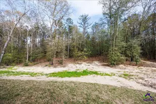 248 Dream Catcher Dr, Lizella, GA 31052 - Photo 18