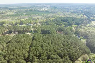 1580 Houze Rd, Fort Valley, GA 31030 - Photo 42