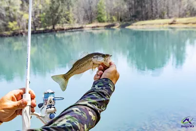 1053 W 26 Highway, Cochran, GA 31014 - Photo 78