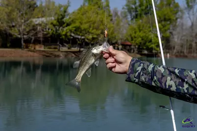 1053 W 26 Highway, Cochran, GA 31014 - Photo 80