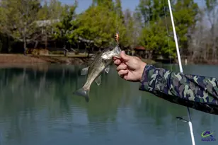 1053 W 26 Hwy, Cochran, GA 31014 - Photo 80