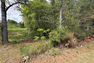 Old Perry Rd, Bonaire, GA 31005 - Photo 1