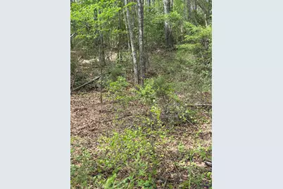 Old Perry Road, Bonaire, GA 31005 - Photo 6