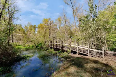 34 Pine Level Drive, Hawkinsville, GA 31036 - Photo 86