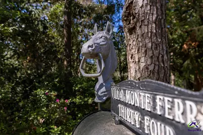 34 Pine Level Drive, Hawkinsville, GA 31036 - Photo 72