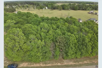 224 Scott Road Road, Elko, GA 31025 - Photo 2