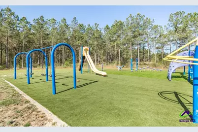 793 Springhaven Road, Dexter, GA 31019 - Photo 42