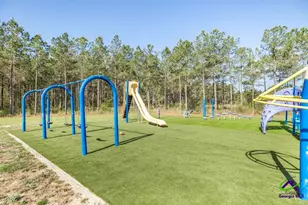 793 Springhaven Rd, Dexter, GA 31019 - Photo 42