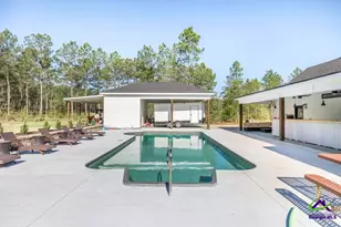 793 Springhaven Rd, Dexter, GA 31019 - Photo 46