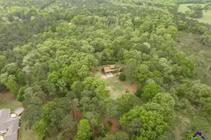 3989 Union Church Rd, Fort Valley, GA 31030 - Photo 46