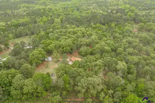 3989 Union Church Rd, Fort Valley, GA 31030 - Photo 48