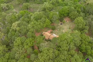 3989 Union Church Rd, Fort Valley, GA 31030 - Photo 40