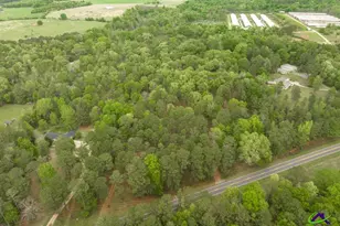 3989 Union Church Rd, Fort Valley, GA 31030 - Photo 38