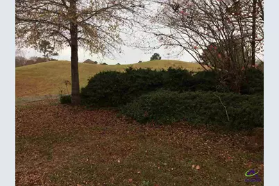 138 Salem Drive, Bonaire, GA 31005 - Photo 8