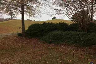 138 Salem Dr, Bonaire, GA 31005 - Photo 8