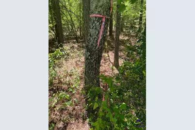 000 Maynards Mill Road, Forsyth, GA 31029 - Photo 2