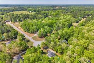 260 Kensington Dr, Sharpsburg, GA 30277 - Photo 68