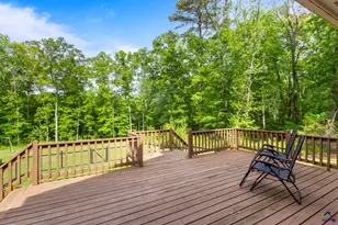 54 Meadow Ln, Hawkinsville, GA 31036 - Photo 52