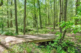 126 Mallie Dr, Forsyth, GA 31029 - Photo 76