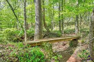 126 Mallie Dr, Forsyth, GA 31029 - Photo 72