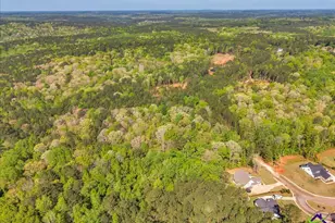126 Mallie Dr, Forsyth, GA 31029 - Photo 94