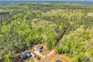 126 Mallie Dr, Forsyth, GA 31029 - Photo 92